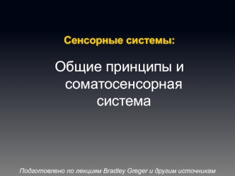 Сенсорные системы. Общие принципы и соматосенсорная система