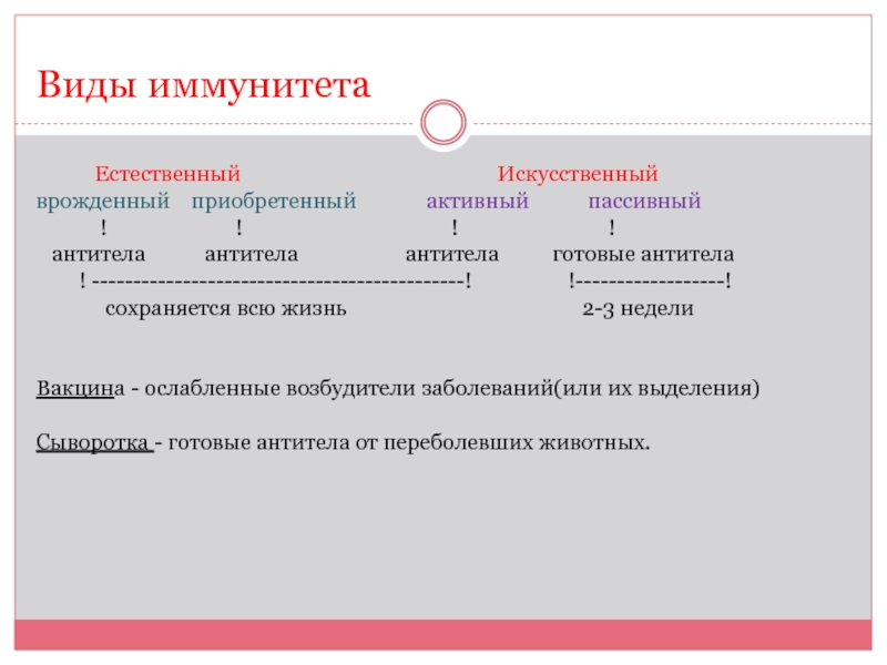 Виды иммунитета 
          Естественный              