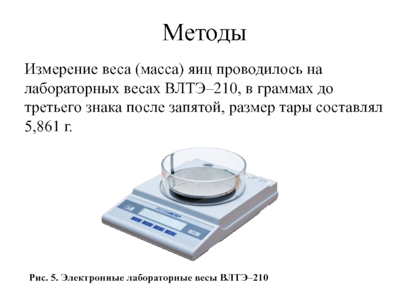 Вес измеряется в. Весы до 3 знака после запятой.