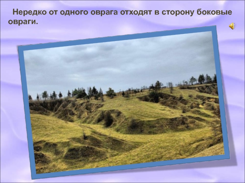 Нередко 1. Боковой овраг. Рельеф, горы, овраги, холмы, равнины. Формы земной поверхности овраг. Поверхность местности недра и почва.