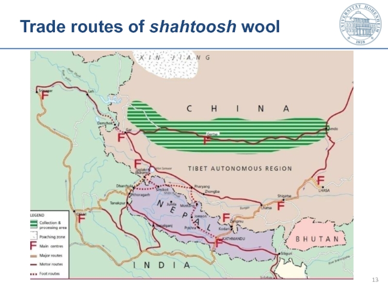 Trade routes of shahtoosh wool