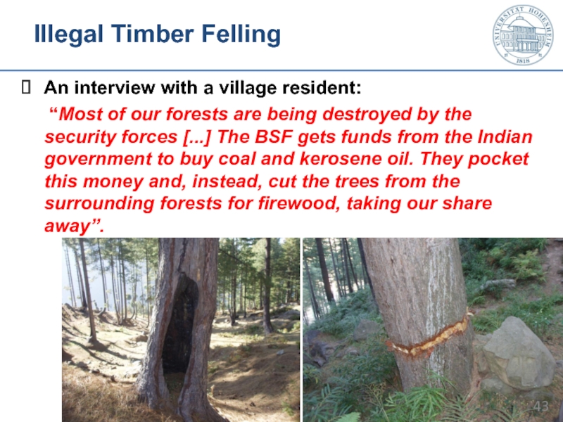 Illegal Timber Felling An interview with a village resident:
