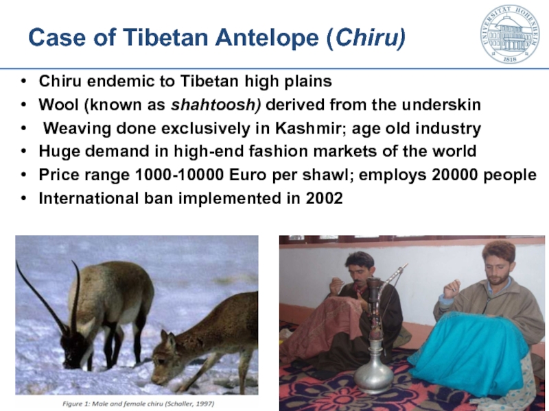 Case of Tibetan Antelope (Chiru) Chiru endemic to Tibetan high plains Wool