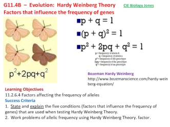 Evolution: Hardy Weinberg Theory Factors that influence the frequency of genes