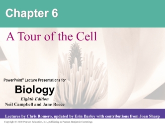 A Tour of the Cell