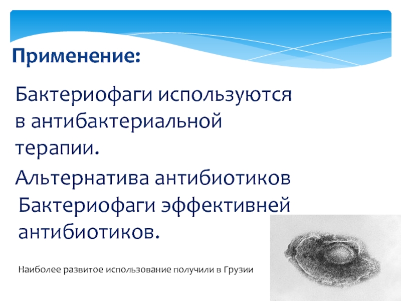 Применение бактериофагов. Бактериофаги альтернатива антибиотикам. Бактериофаги применяются для. Терапевтическое применение бактериофагов.