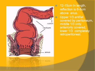 Inflammatory diseases of rectum