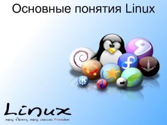 Основные понятия Linux