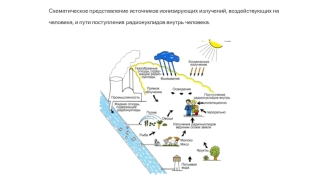 Схематическое представление источников ионизирующих излучений, воздействующих на человека