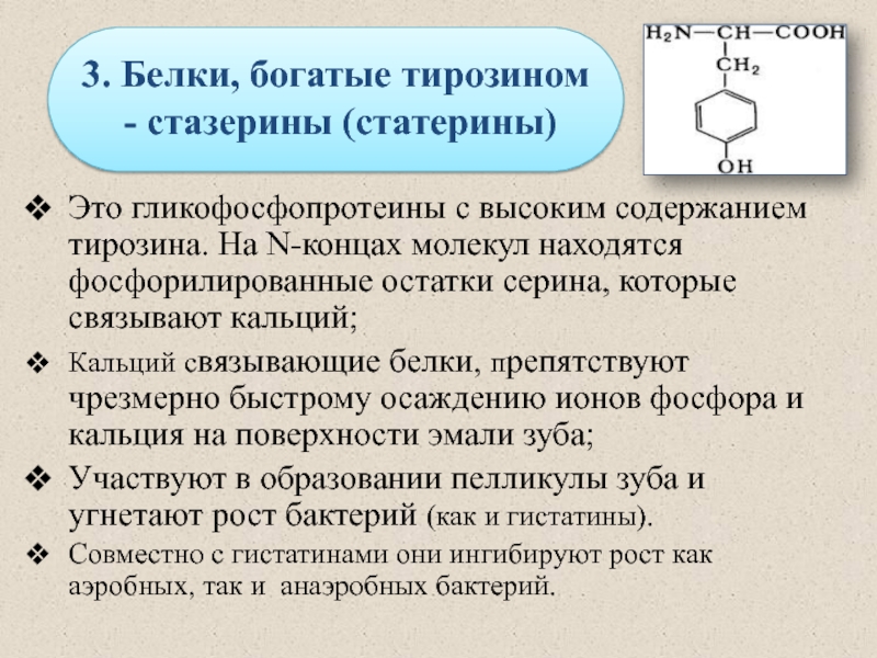 Биохимия слюны презентация