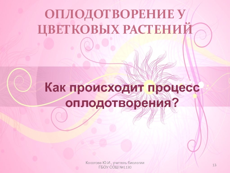 Значение оплодотворения