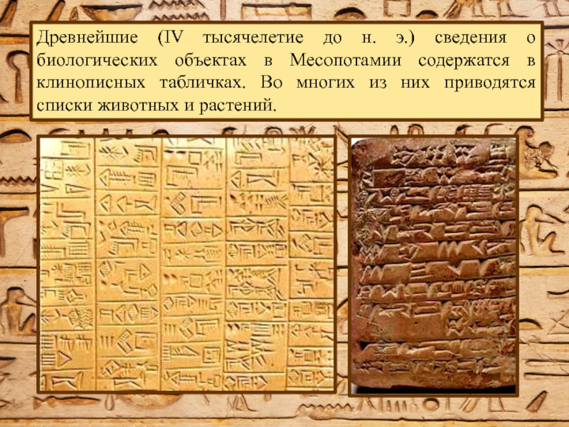 Где был изобретен древнейший алфавит на карте. Клинописные таблички в древней Месопотамии. Письменные памятники Месопотамии. Письменность Месопотамии в древности. Учет в Месопотамии.