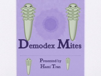 Demodex Mites