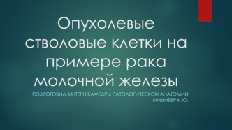 Опухолевые стволовые клетки на примере рака молочной железы