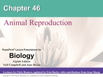 Animal Reproduction