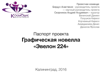 Паспорт проекта Графическая новелла Эвелон 224