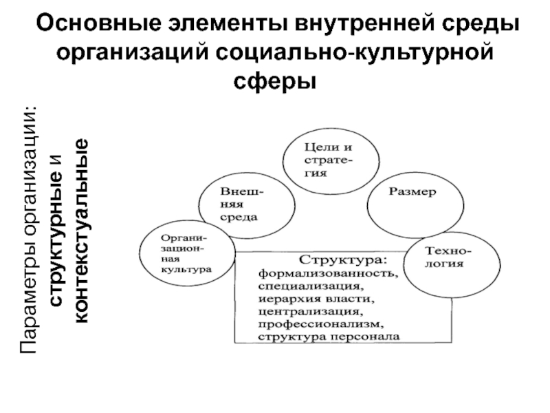 Организации социально культурной сферы. Социально культурная среда на предприятии. Менеджмент социально-культурной сферы. Структурные и контекстуальные параметры организации. Контекстуальные и структурные параметры.