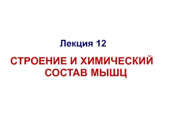 Строение и химический состав мышц. Лекция 12