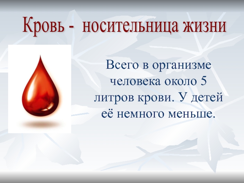 Сколько литров крови у мужчин. Кровь носительница жизни. Проект кровь носительница жизни. 5 Литров крови. Пять литров крови фанфик.