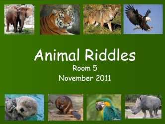 Animal Riddles. Abigail’s Animal Riddle