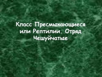 Класс Пресмыкающиеся (Рептилии). Отряд Чешуйчатые