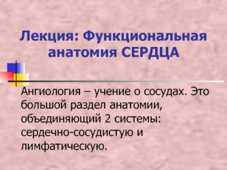 Функциональная анатомия сердца