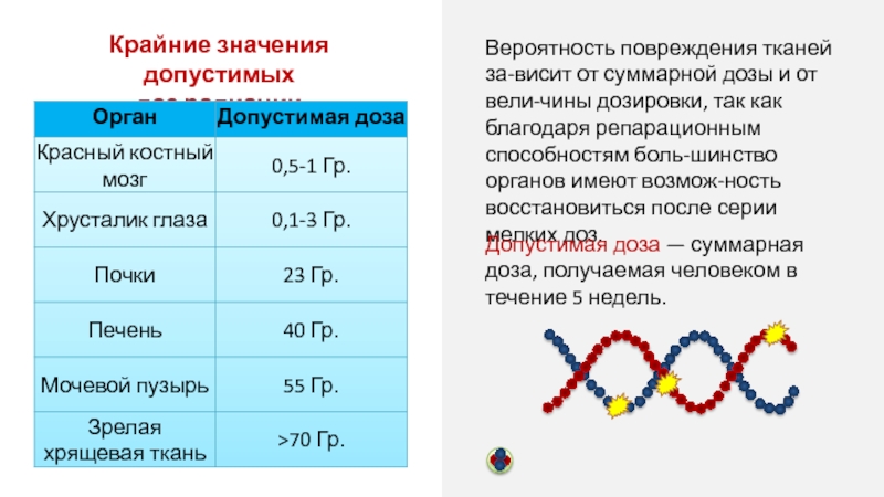 Влияние ионизирующей радиации на живые организмы презентация