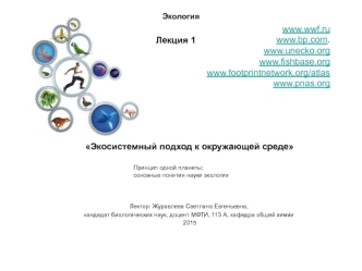 Экосистемный подход к окружающей среде