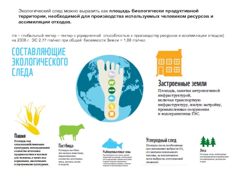 Экологический след и индекс человеческого развития презентация