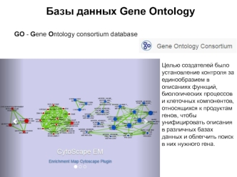 Базы данных Gene Ontology