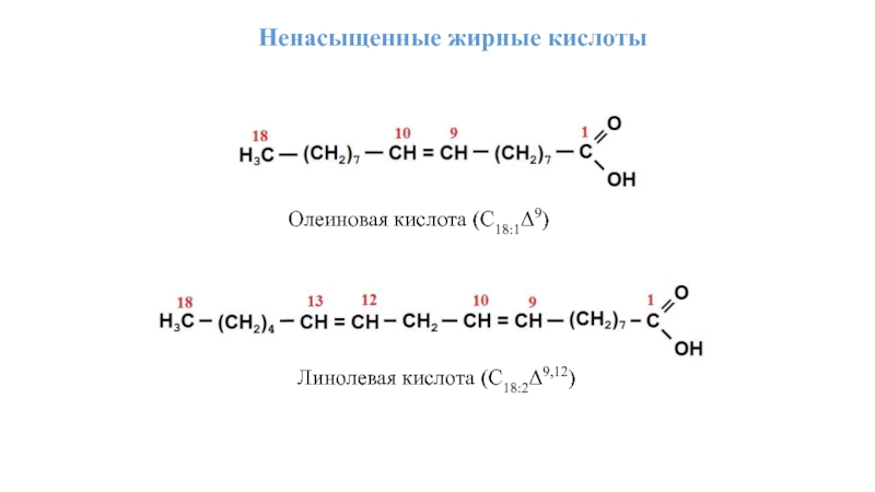 Олеиновая и стеариновая кислота формулы. Олеиновая кислота линолевая кислота. Олеиновая кислота 18. Ненасыщенные жирные кислоты.