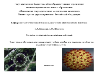 Патологическая анатомия вирусных инфекций