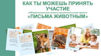 Межрегиональный эколого-просветительский проект Письма животным