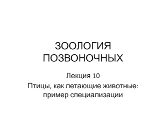 Зоология позвоночных. Птицы, как летающие животные. Пример специализации. (Лекция 10)