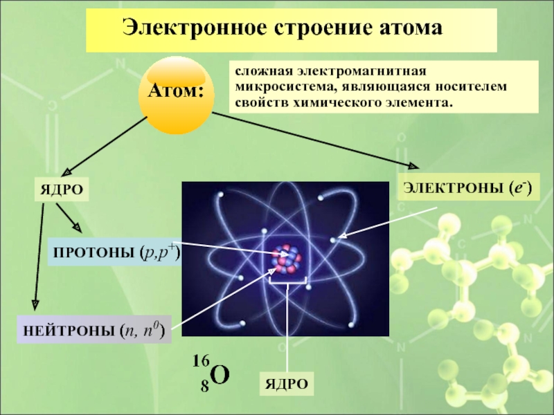 Какие элементы составляют атом