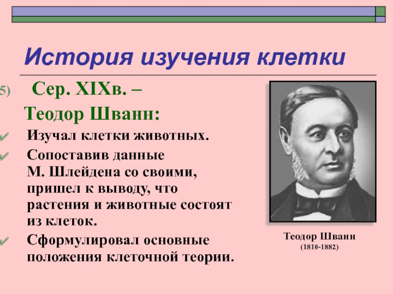 Клеточная теория шлейдена. Шлейден и Шванн вклад. Шванн теория. Теодор Шванн. Шлейден и Шванн теория.