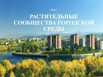 Растительные сообщества городской среды. (Тема 7)