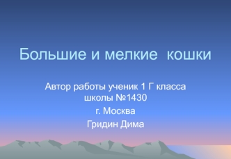 Большие и мелкие кошки