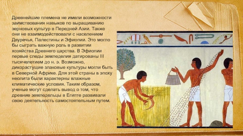 Сочинение На Тему Вельможа Древнего Египта