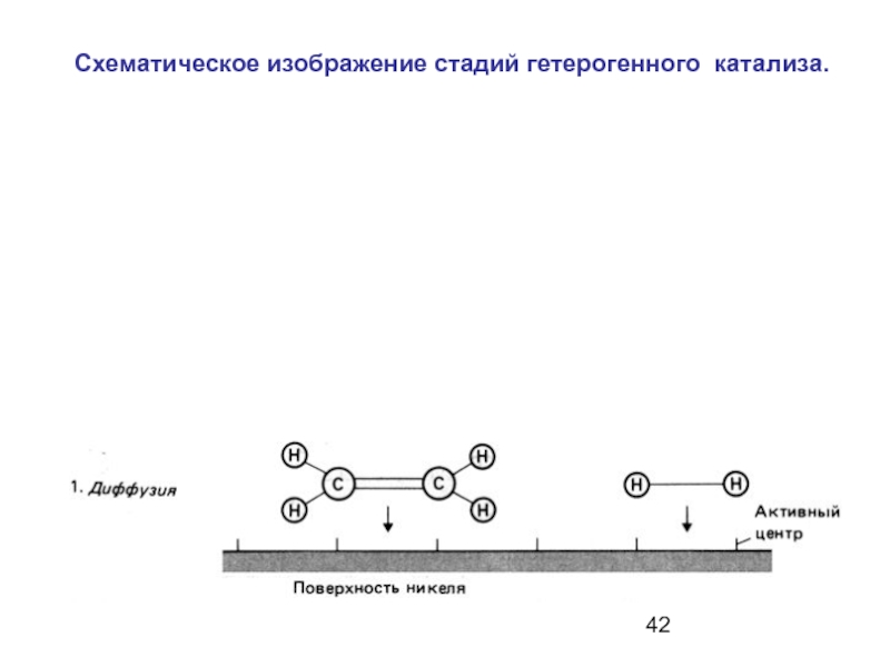 Энергетическая диаграмма гетерогенного катализа