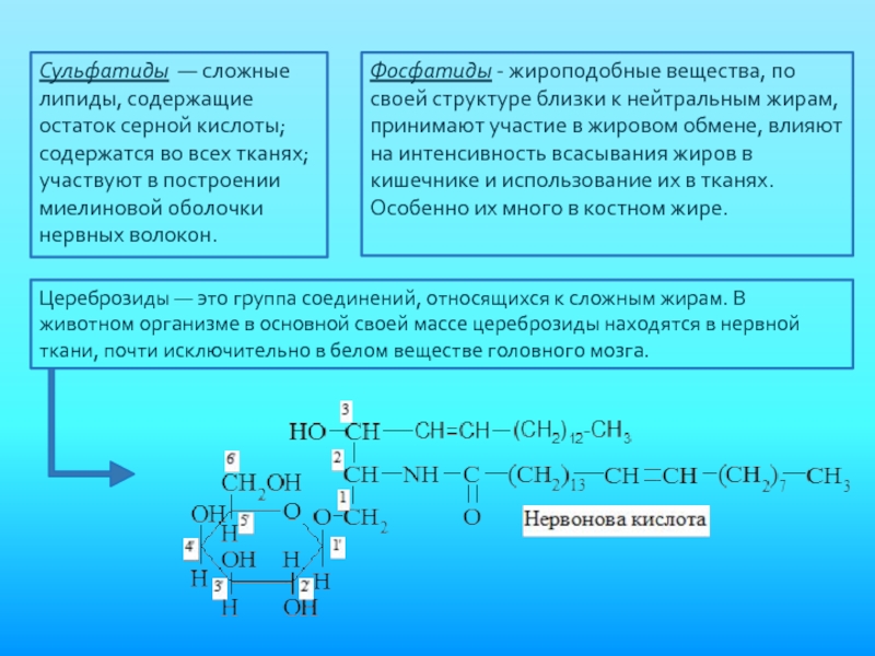 Жиры и жироподобные вещества