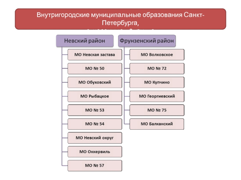 Муниципальное образование спб