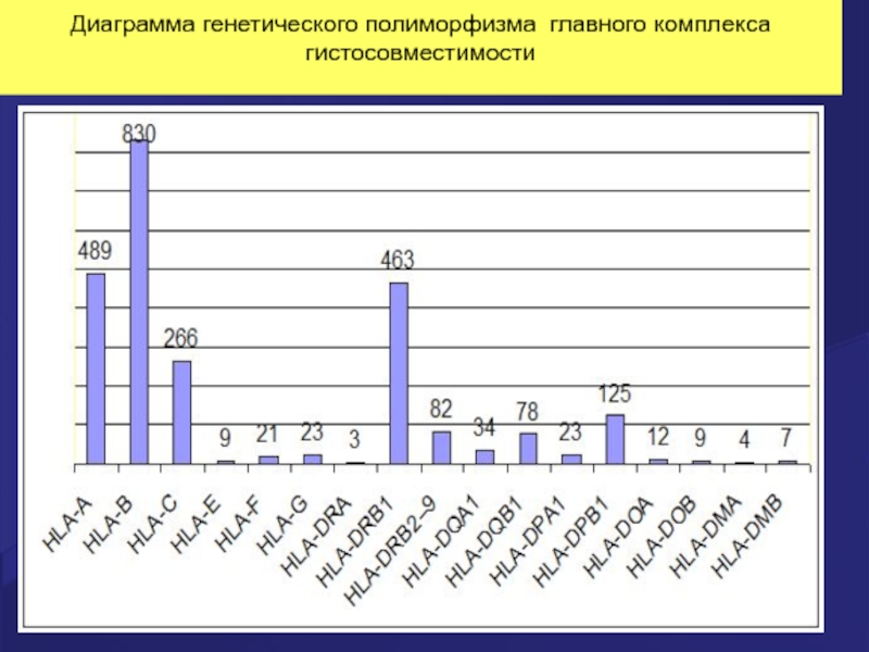 Генетическая диаграмма рухина