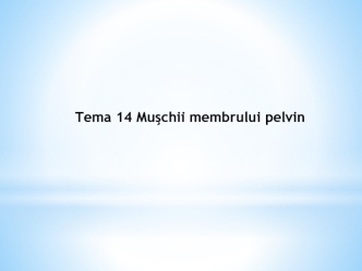 Muşchii membrului pelvin