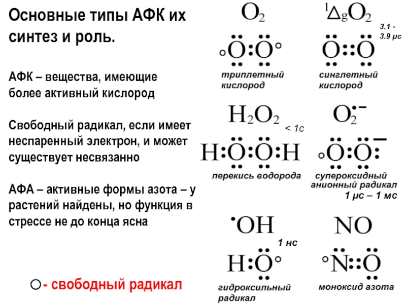 Доклад: Фотосинтетический кислород: роль H2O2