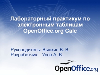 Лабораторный практикум по электронным таблицам OpenOffice.org Calc