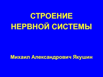 Строение нервной системы