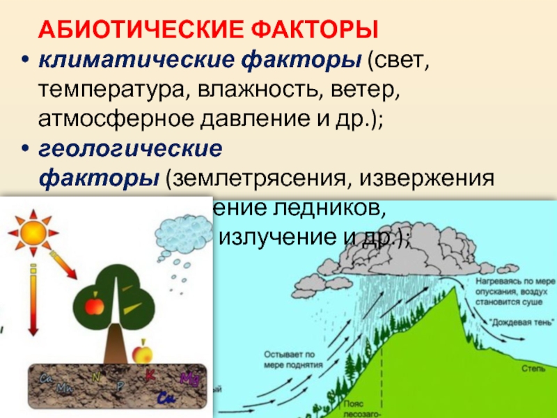 Абиотические факторы среды температура свет. Абиотические факторы свет. Климатические абиотические факторы. Абиотические факторы свет температура влажность. Геологические абиотические факторы.