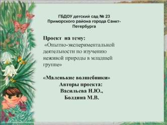 Опытно-экспериментальная деятельность по изучению неживой природы в младшей группе