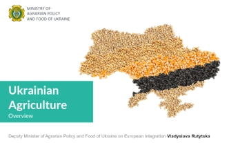 Agriculture Dialogue 2015